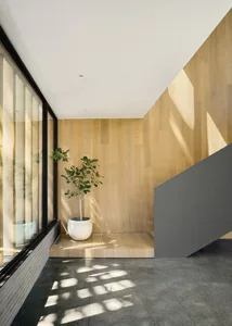 A modern entryway featuring timber floors and a potted plant.