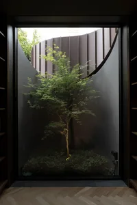 A beautiful, modern interior design featuring a glass window framed by dark, curved walls.