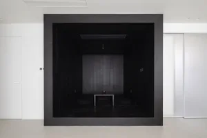 A minimalist black cube living room with wooden flooring and a small table.