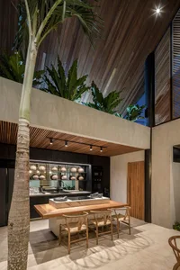Modern kitchen with wood accents, concrete countertops, and palm tree