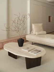 A minimalist living room featuring a natural stone table with a modern, organic shape, accompanied by a plush beige sofa and 