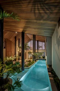 Modern residential interior featuring concrete and plants