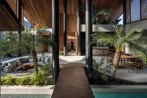Modern residential interior featuring wood, concrete, and tropical plants.