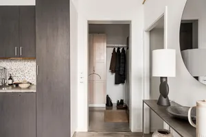 Modern minimalist entryway featuring dark wood and white walls.