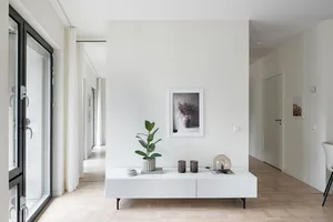 Modern minimalist living room featuring a concrete planter with green plants, a white cabinet, and a framed photograph on the