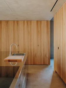 Modern minimalist kitchen with wood accents and sleek, clean lines.