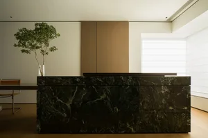 Modern minimalist interior featuring dark marble elements and a potted plant.