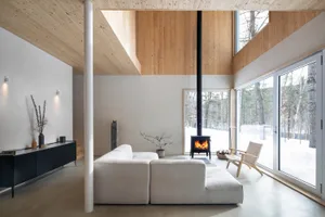 A modern living room with wood walls, floors, and a fireplace.