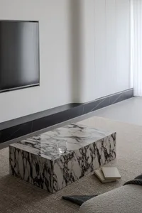 Modern living room featuring a rectangular marble coffee table with a minimalist design.
