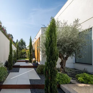 A modern residential exterior featuring concrete walkways, glass walls, and cypress trees.