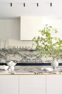 Modern kitchen featuring a marble countertop and backsplash with white cabinets and greenery.