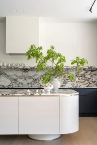 A modern kitchen counter featuring a white marble surface with a vase of green leafy plant and garlic cloves on top, set agai