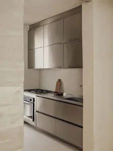 Modern minimalist kitchen with metallic cabinets and stainless steel appliances