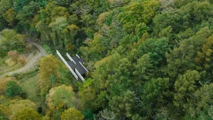 一座現代住宅建築坐落於茂密森林之中，擁有獨特的建築設計。