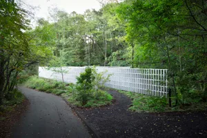 A metal grid wall is surrounded by green foliage in a forest setting.