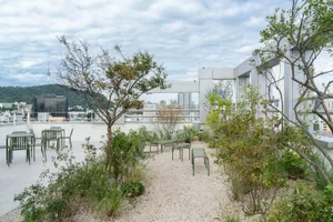 Outdoor space with concrete ground, trees, and plants on a rooftop