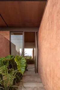 Concrete pathway surrounded by green foliage, leading to a modern building.