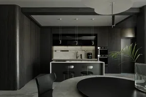 Modern kitchen featuring dark wood cabinetry and marble countertops