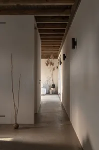極簡室內空間搭配混凝土地板，擺放一盆小盆栽，並有木樑天花板。