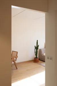 Minimalist living room featuring light-colored wood flooring and a light-colored sofa.