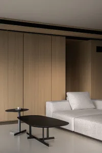 Modern living room featuring a wooden sofa and dark wooden coffee tables.