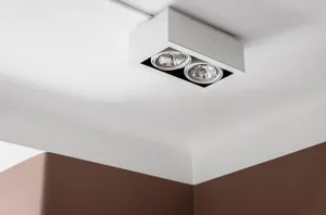 A white ceiling-mounted downlight fixture with two bulbs.