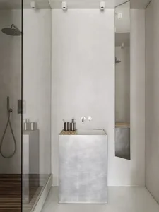 Modern minimalist bathroom with a metallic counter and glass shower enclosure