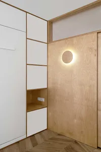 Modern minimalist flat interior design featuring a wooden paneled door with a circular cut-out and a recessed circular light 