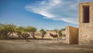 A serene outdoor space featuring a donkey standing in front of a building made of natural stone.
