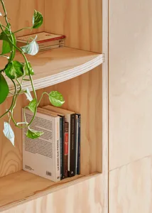An elegant minimalist bookshelf with a green leafy plant.