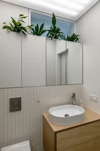 Modern minimalist bathroom with white elements, including sink, mirror cabinet, and green plants.