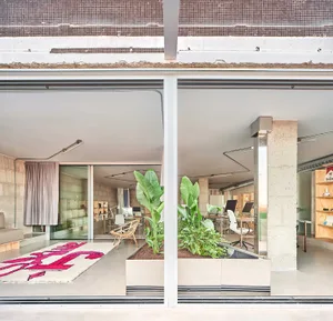 Modern office space featuring concrete walls and plants