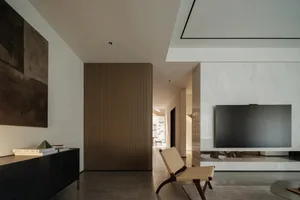 Modern living room featuring a wall panel made of natural wood