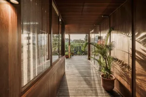 Modern interior design featuring Walnut wood elements.