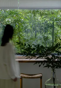 A wooden framed glass window showcasing an indoor plant surrounded by greenery.