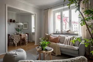 A cozy living room with fabric cushions, wooden furniture, glass curtains, and indoor plants.