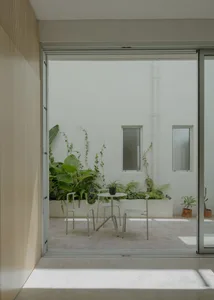 A minimalist patio featuring concrete and potted plants.