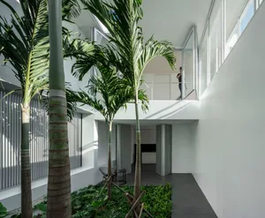 A minimalist interior design featuring concrete walls, glass windows, and green plants.