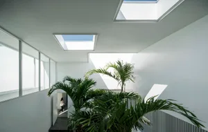 A modern, glass-walled hallway with plants, natural light, and skylights.