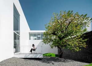 A modern white house with a garden featuring a tree and gravel pathway.