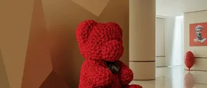 A minimalist interior space adorned with red roses.