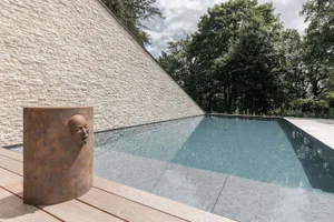 A modern swimming pool with a concrete deck and surrounding greenery.