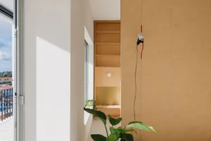 A minimalist interior design featuring wooden shelves and plants.