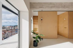 Modern minimalist living room with wooden walls and floor, large windows, and plants