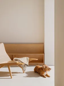 A minimalist residential interior featuring a wooden chair and bench, a wool blanket, and a small dog.