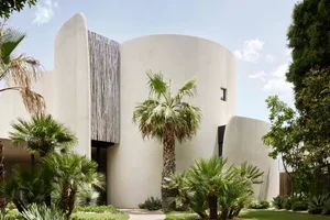 Modern building with concrete exterior and palm trees in front.