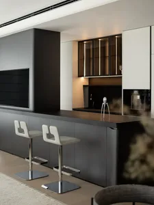 Modern kitchen with black and white color scheme, glass cabinetry, and stainless steel appliances.