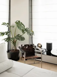 A modern living room featuring a large potted plant, a cowhide armchair, and a wooden floor.