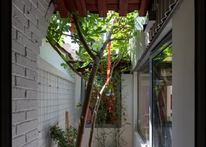Public space with greenery and a wooden frame