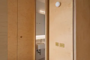 Modern bathroom with birch wood paneling, sink, mirror, and brass light switch